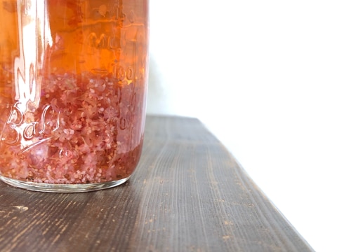 エルダーフラワーのコーディアルシロップ